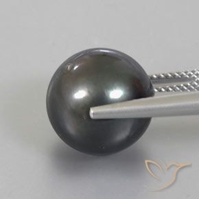 perle Gris foncé naturelle Sphère / Boule, 13.49 ct, Opaque