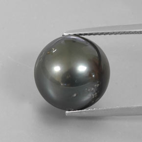 perle Argent foncé naturelle Sphère / Boule, 12.77 ct, Opaque