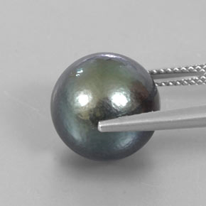 Perle gris naturelle sphère / boule, 13,23 ct, opaque