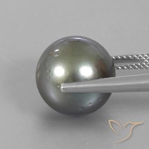 perle Gris moyen-foncé naturelle Sphère / Boule, 12.95 ct, Opaque