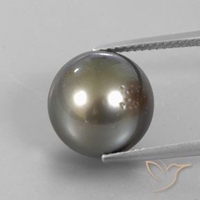 perle Gris moyen-foncé naturelle Sphère / Boule, 13.25 ct, Opaque