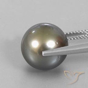 perle Gris moyen-foncé naturelle Sphère / Boule, 13.25 ct, Opaque