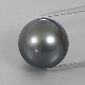 Perle gris naturelle sphère / boule, 13,23 ct, opaque