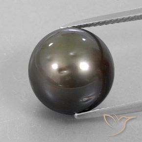 Perle argent jaunâtre naturelle sphère / boule, 13,72 ct, opaque