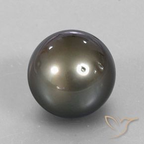 Perle argent jaunâtre naturelle sphère / boule, 13,72 ct, opaque