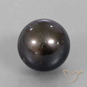 perle Brun naturelle Sphère / Boule, 13.30 ct, Opaque