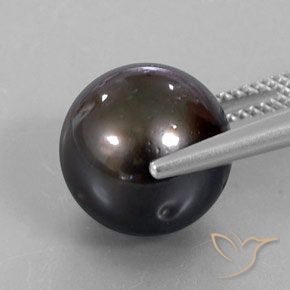 perle Brun naturelle Sphère / Boule, 13.30 ct, Opaque