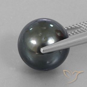 perle Gris foncé naturelle Sphère / Boule, 13.05 ct, Opaque