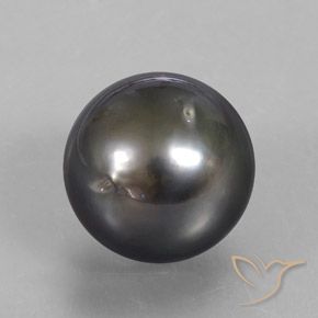 perle Brun naturelle Sphère / Boule, 12.76 ct, Opaque