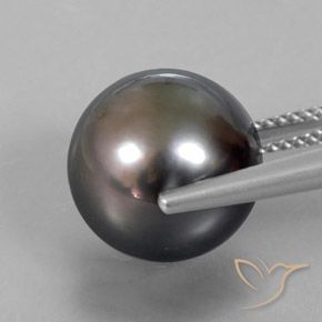 perle Brun naturelle Sphère / Boule, 12.76 ct, Opaque