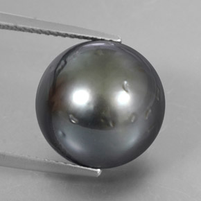 Perle gris naturelle sphère / boule, 16,38 ct, opaque