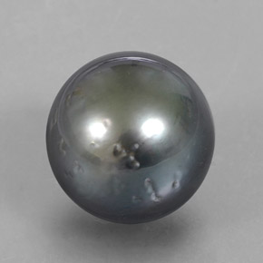 Perle gris naturelle sphère / boule, 16,38 ct, opaque