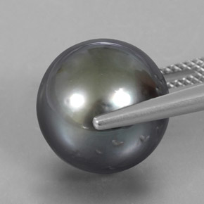 Perle gris naturelle sphère / boule, 16,38 ct, opaque