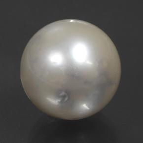 perle Argent naturelle Sphère / Boule, 14.54 ct, Opaque