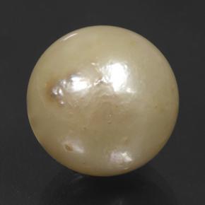 perle Doré léger naturelle Sphère / Boule, 11.74 ct, Opaque