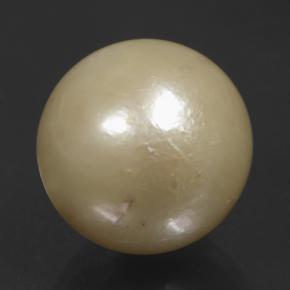 perle Doré léger naturelle Sphère / Boule, 11.74 ct, Opaque
