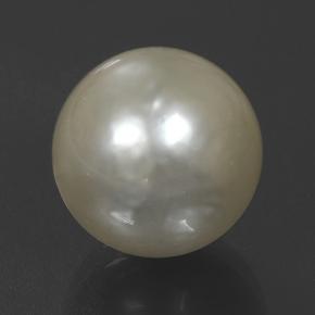 perle Crème naturelle Sphère / Boule, 10.48 ct, Opaque
