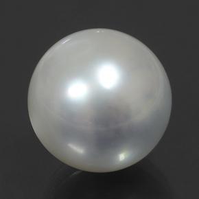 perle Argent naturelle Sphère / Boule, 11.88 ct, Opaque