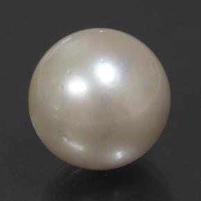 Perle crème naturelle sphère / boule, 14,32 ct, opaque