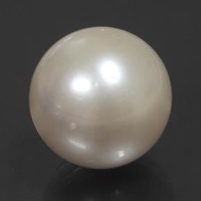 Perle crème naturelle sphère / boule, 14,32 ct, opaque