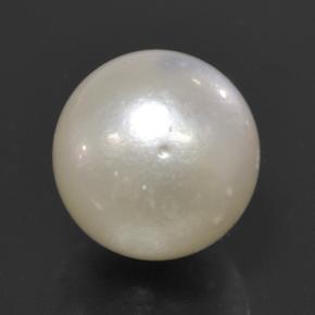perle Blanc cassé naturelle Sphère / Boule, 11.51 ct, Opaque
