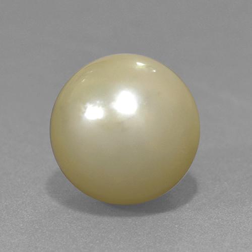 perle Jaune clair naturelle Sphère / Boule, 11.42 ct, Opaque