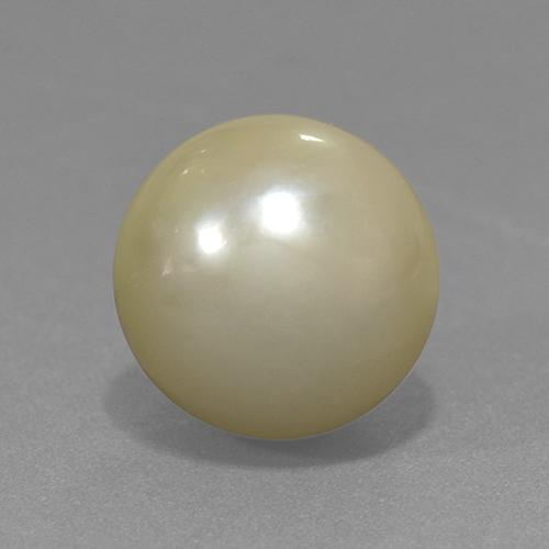 perle Jaune clair naturelle Sphère / Boule, 11.42 ct, Opaque
