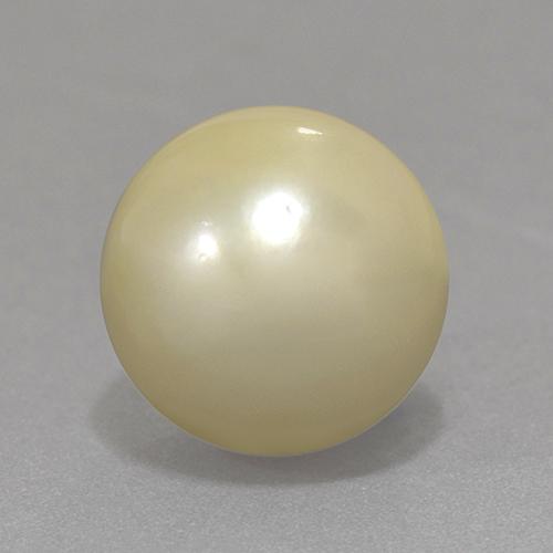 perle Jaune clair naturelle Sphère / Boule, 13.06 ct, Opaque