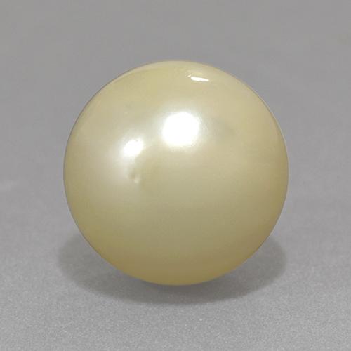 perle Jaune clair naturelle Sphère / Boule, 13.06 ct, Opaque