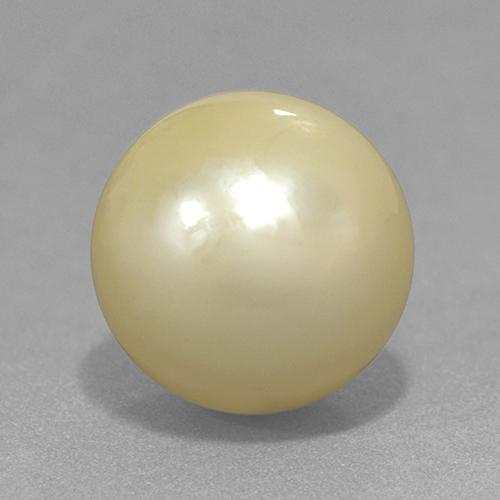 perle Jaune clair naturelle Sphère / Boule, 13.06 ct, Opaque