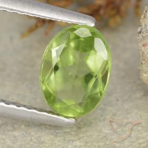 Péridot Vert moyen naturelle ovale, 1.24 ct, VS