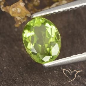 Péridot Vert jaunâtre vif naturelle ovale, 1.18 ct, VS