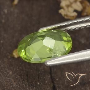 Péridot Vert moyen naturelle ovale, 1.16 ct, VS