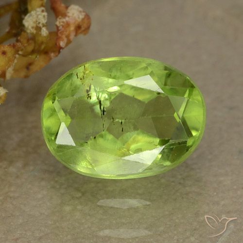 Péridot Vert jaunâtre naturelle ovale, 1.31 ct, VS