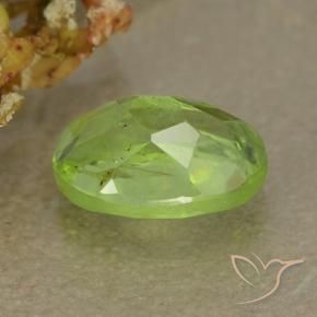 Péridot Vert jaunâtre naturelle ovale, 1.31 ct, VS