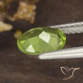 Péridot Vert moyen naturelle ovale, 1.19 ct, VS