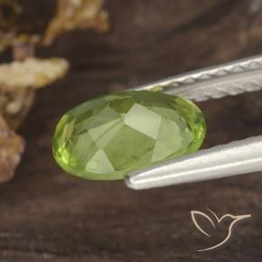 Péridot Vert jaunâtre vif naturelle ovale, 1.20 ct, VS