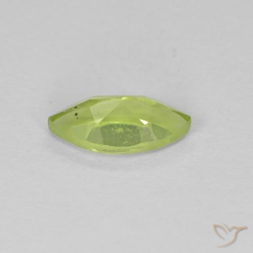 Péridot Vert jaunâtre naturelle Marquise, 0.65 ct, VS