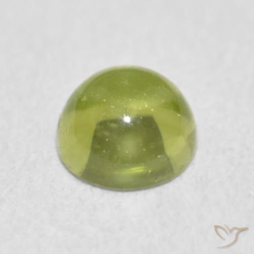 Péridot Olive verte naturelle Tour, 0.38 ct, Transparent