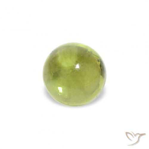 Péridot Olive verte naturelle Tour, 0.38 ct, Transparent