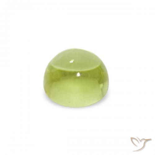 Péridot Olive verte naturelle Tour, 0.38 ct, Transparent