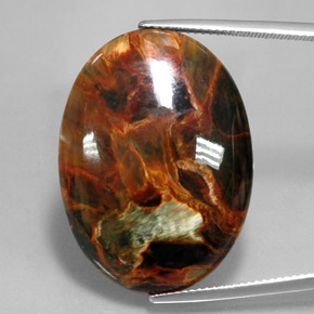 Piétersite multicolore naturelle coupe ovale, 24,67 ct, opaque