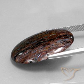 Pietersite Multicolore naturelle ovale, 18.72 ct, Opaque