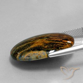 Pietersite Multicolore naturelle ovale, 23.92 ct, Opaque