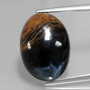 Piétersite multicolore naturelle coupe ovale, 12,64 ct, opaque