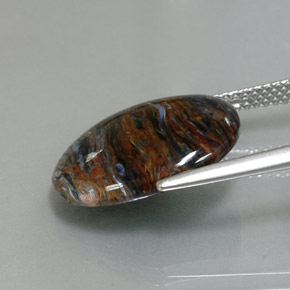 Piétersite multicolore naturelle coupe ovale, 6,80 ct, opaque