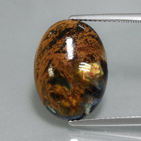 Pietersite Multicolore naturelle Coupe ovale, 6.78 ct, Opaque