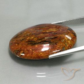 Pietersite Multicolore naturelle ovale, 28.89 ct, Opaque