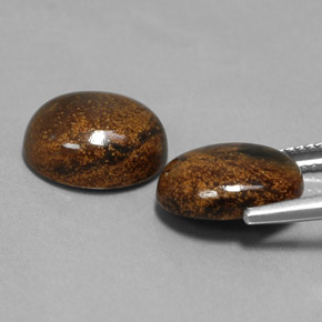 Achetez naturel ct Multicolore Pietersite gems, Coupe ovale, En provenance Namibie chez GemSelect. En stock, livraison internationale!