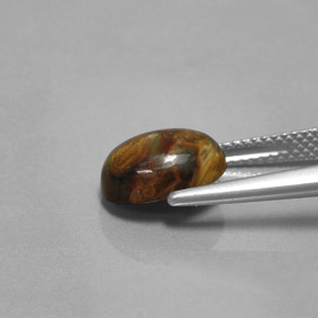 Pietersite Multicolore naturelle Coupe ovale, 2.99 ct, Opaque